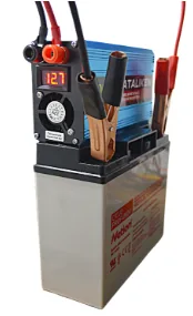 Battery and inverter