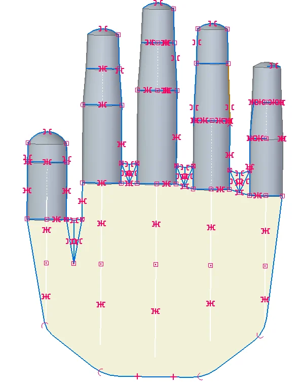 The phalanges as 3D solids on the sketch